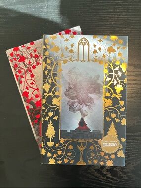 one dark window and two twisted crowns by rachel gillig special edition